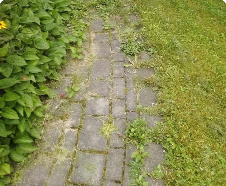 Démolition des anciennes dalles et nivellement en neuf. img