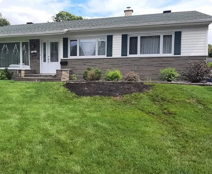 Nivellement du terrain et nettoyage. img