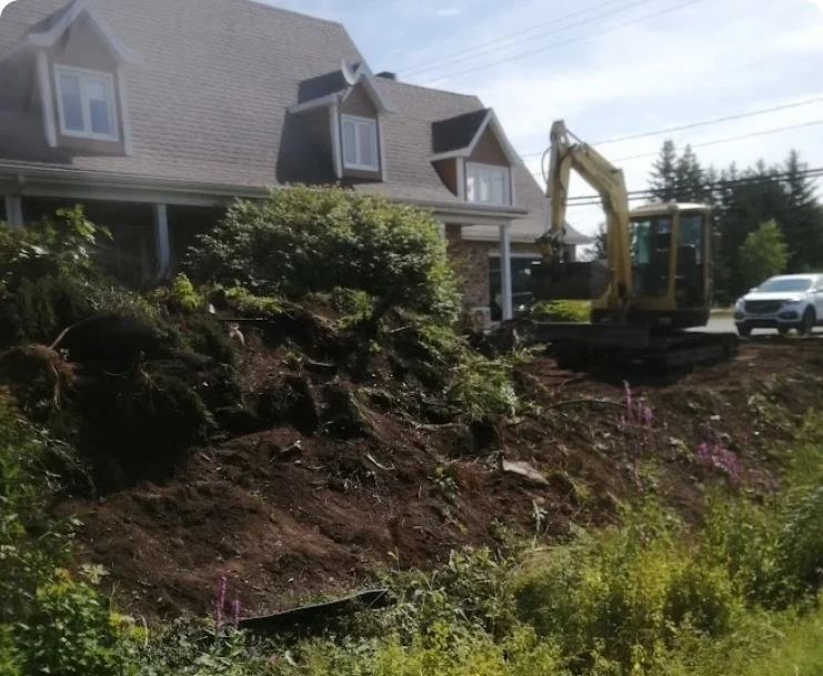 Retrait des arbres et arbustes img