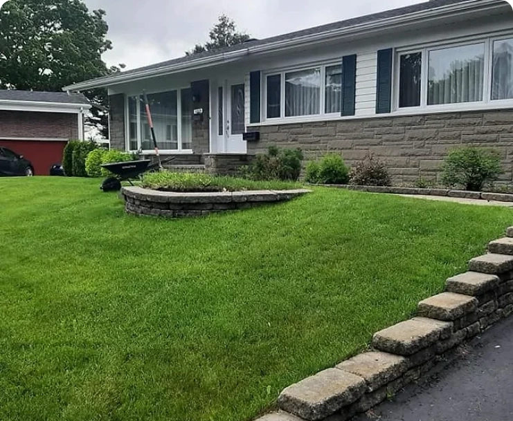 Retrait du muret et de la souche cachée img