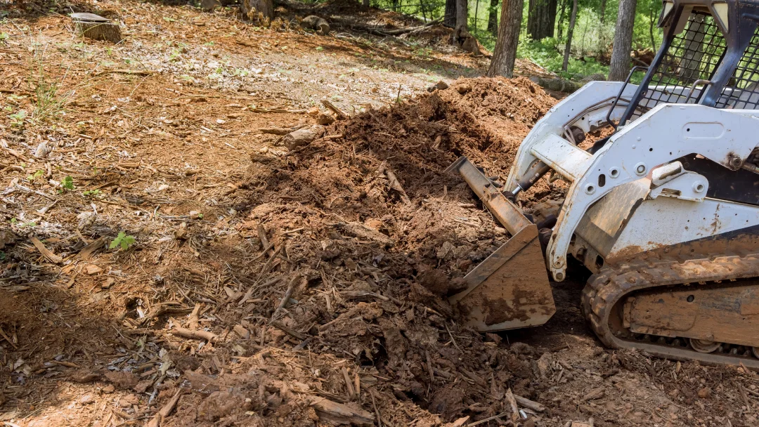 Un chargeur sur chenilles creuse de la terre dans les bois, illustrant le processus de nivellement d'un terrain.